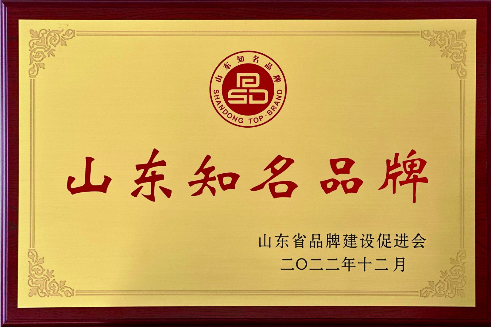 資質(zhì)榮譽(yù)