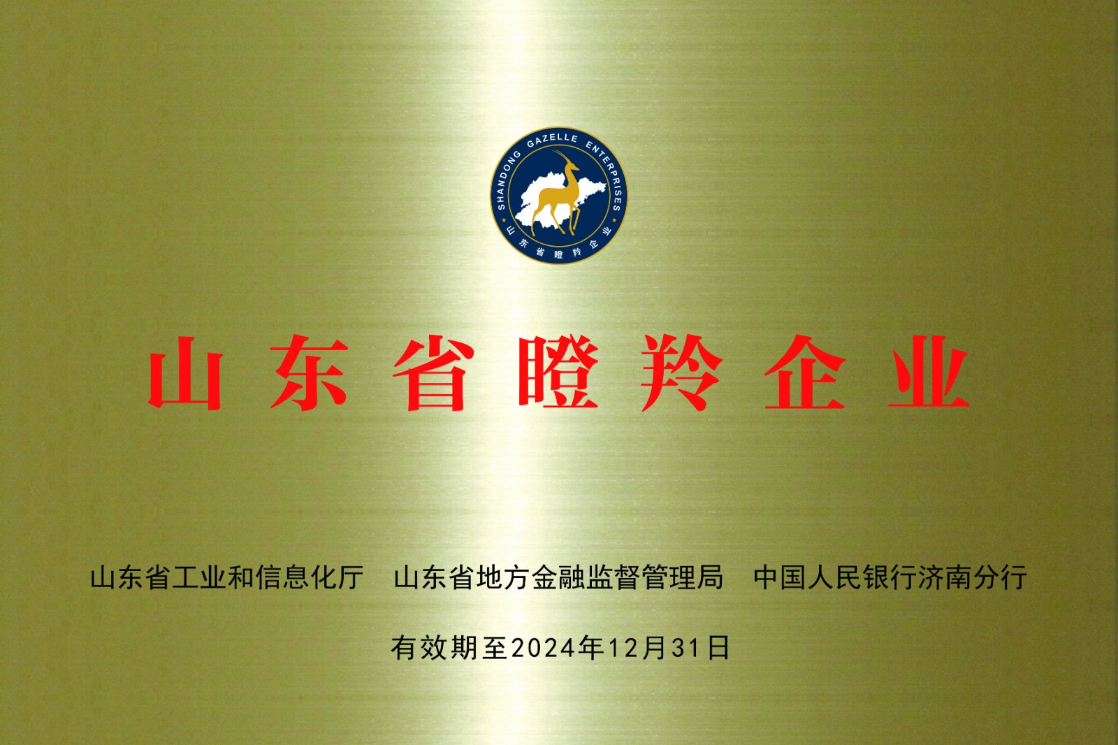 資質(zhì)榮譽(yù)